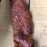 大块肉，，猪肉，大刀肉，价格美丽，一手货源，又麻又