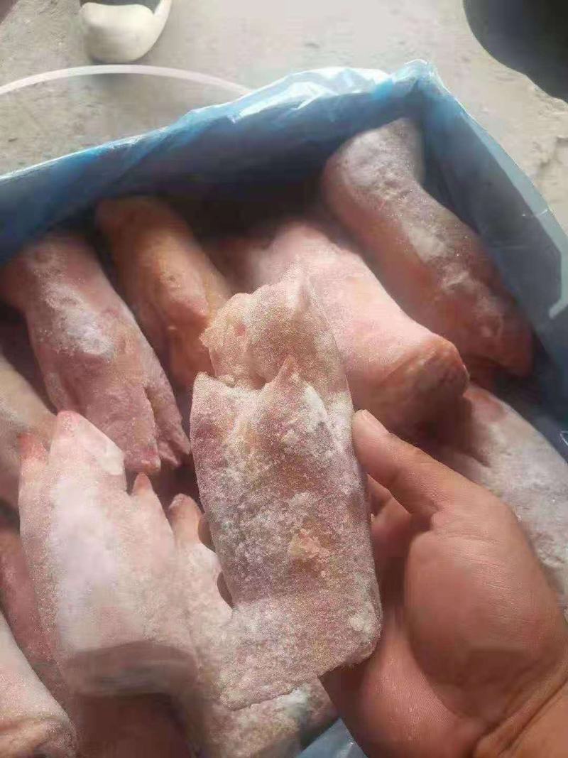 猪蹄，物美价廉经济实惠，好吃不贵，现货，量大从优