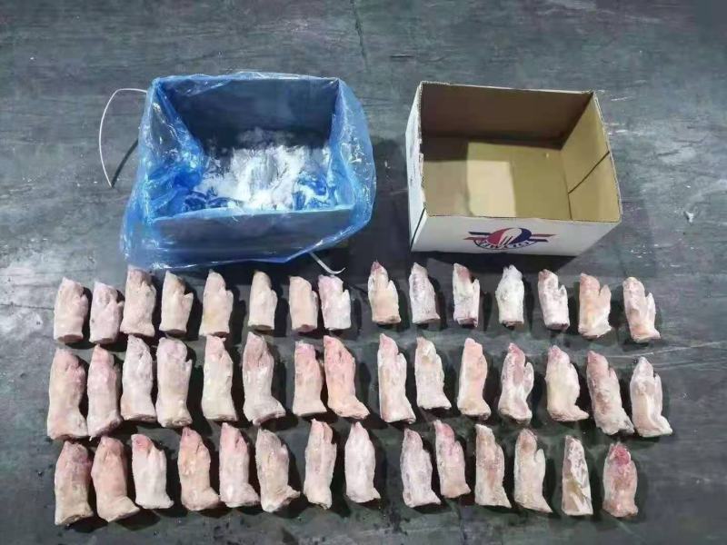 猪蹄，物美价廉经济实惠，好吃不贵，现货，量大从优