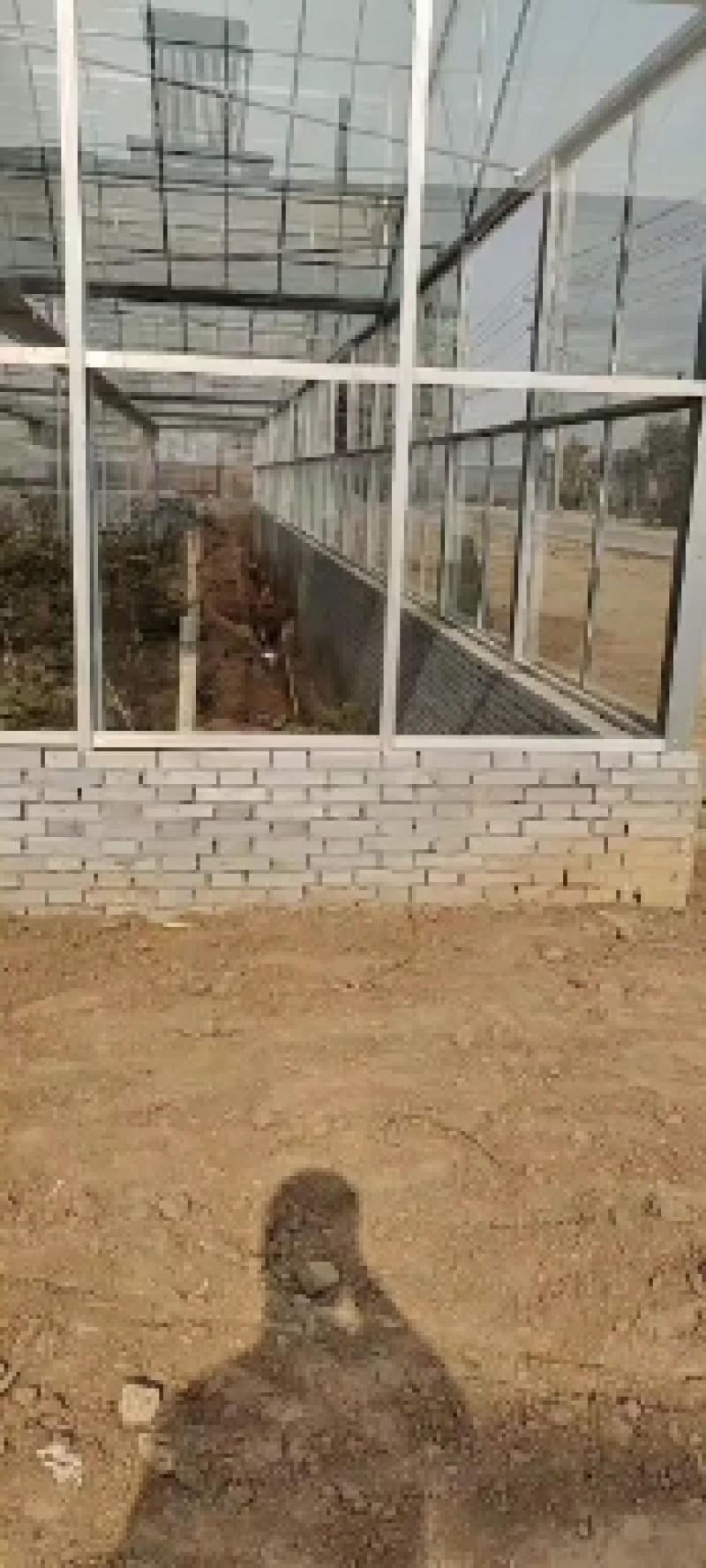 玻璃温室大棚生态餐厅玻璃温室智能控制系统玻璃温室