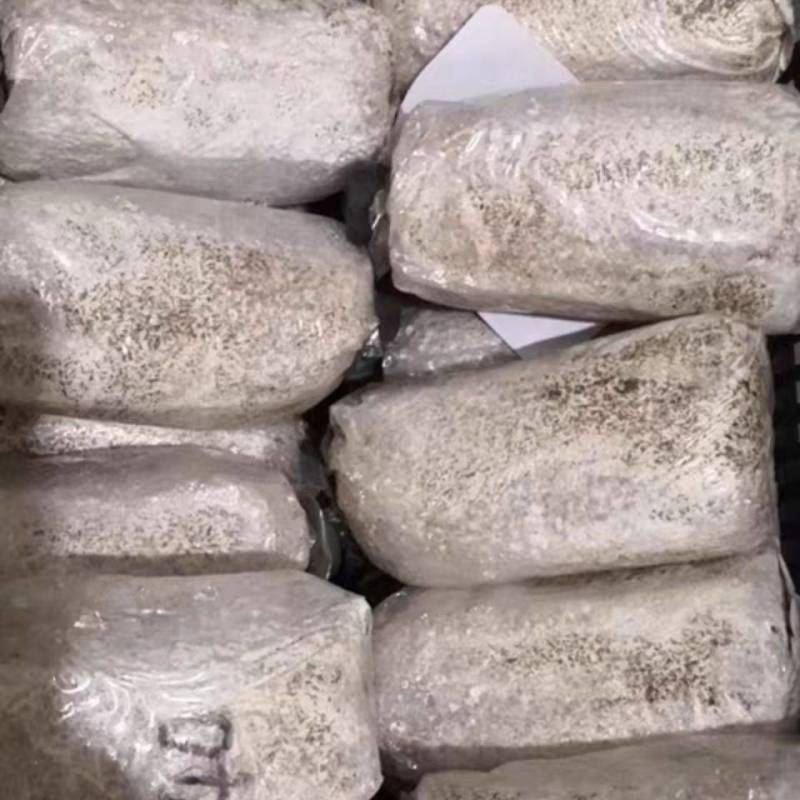 香菇菌种椴木中高温型原木木头栽培种植种子种苗食用菌菌种包