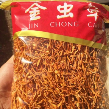 干货金蛹北虫草菇正品孢子头天然煲汤食材