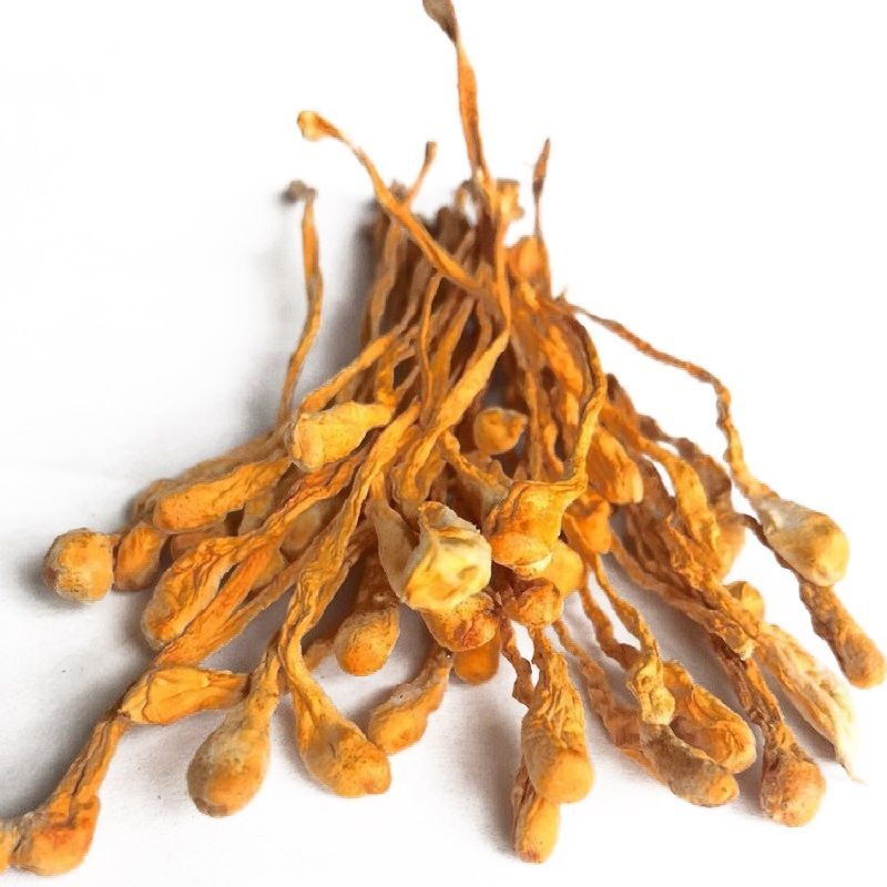 干货金蛹北虫草菇正品孢子头天然煲汤食材