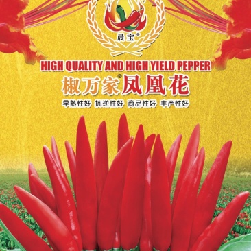 【金道种业】早熟凤凰花辣椒种高抗病超高产签合同包回收