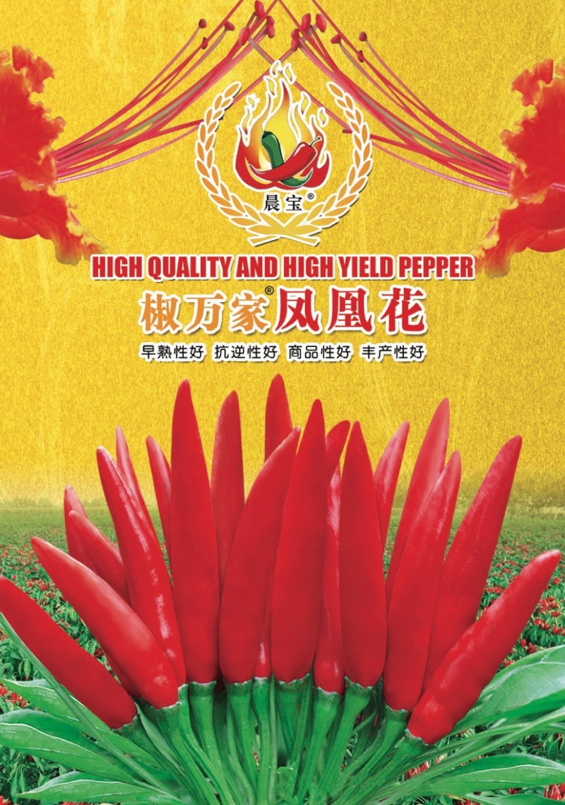 【金道种业】早熟凤凰花辣椒种高抗病超高产签合同包回收