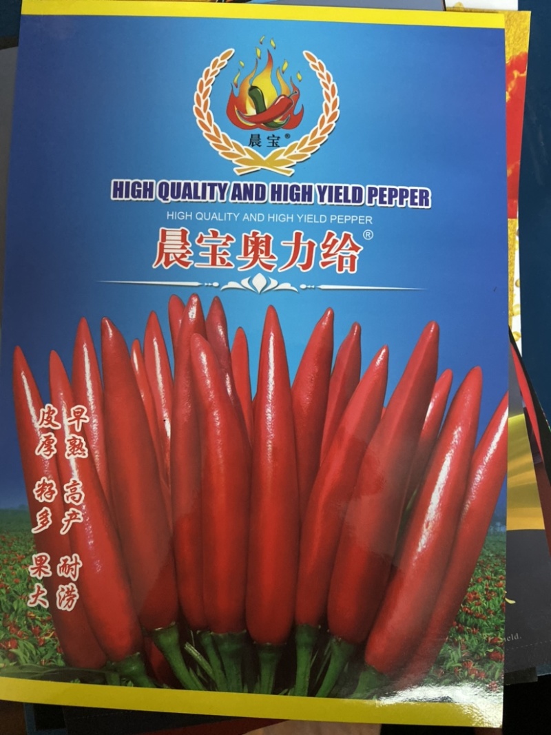 【金道种业】奥力给辣椒种子高抗病高产抗涝签合同包回