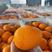 精选】长虹脐橙纯甜橙子，枝头挂树鲜果，一手货源价格便宜