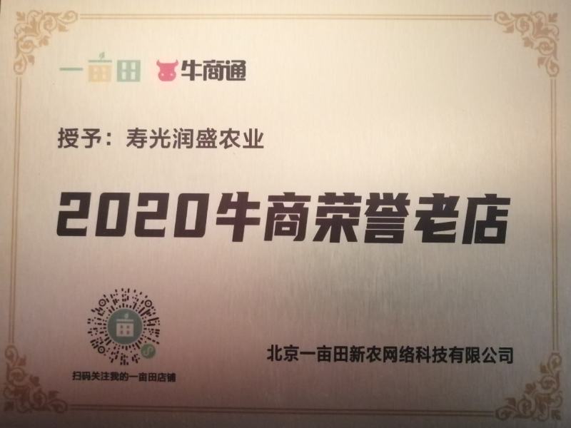 圆椒苗红泡椒苗甜椒苗预订代育全国接单