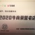 765/烧烤茄/紫把长茄/圆茄/绿罐茄等各种优质茄苗