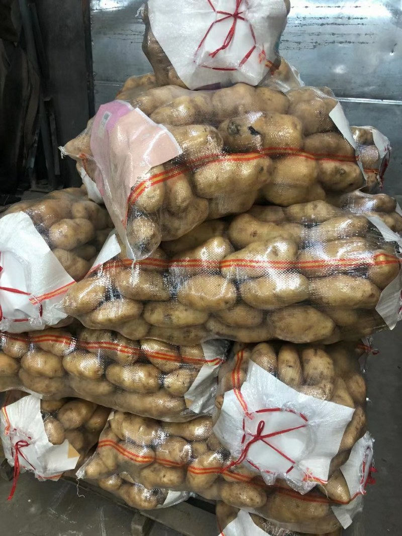山东省沂水优质荷兰十五土豆产地直售需要的联系