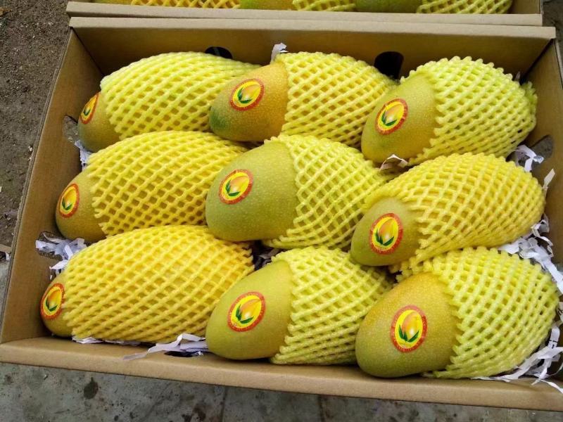 海南水仙芒十斤装产地果园现摘现发