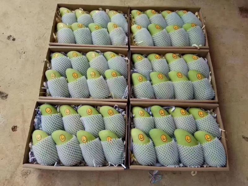 海南水仙芒十斤装产地果园现摘现发