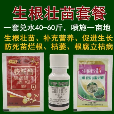 红薯土豆水稻棉花辣椒西瓜豆角死苗烂根根腐病茎基腐病杀菌剂