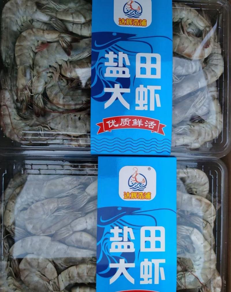 国产大虾，大小型号齐全