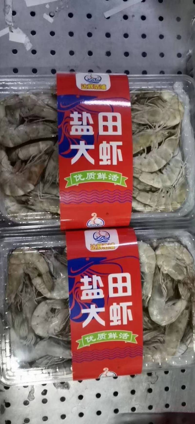 国产大虾，大小型号齐全