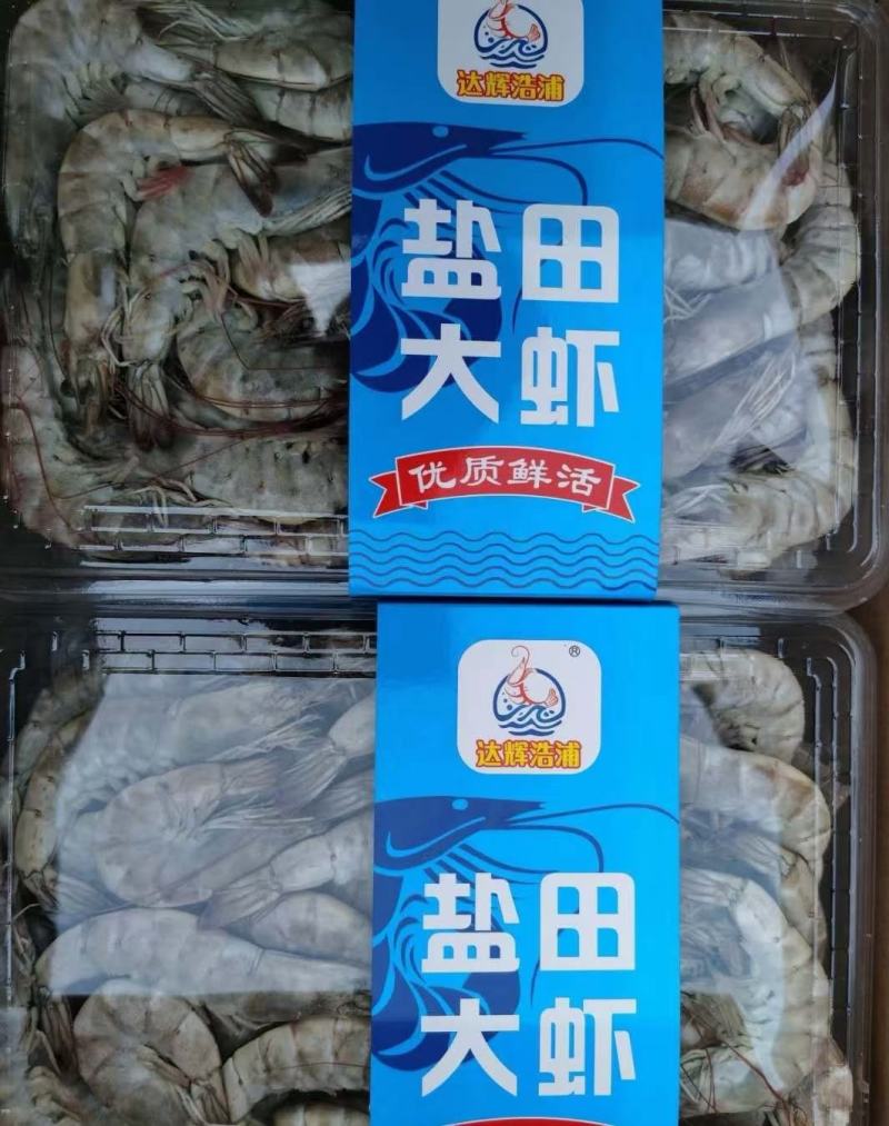 国产大虾，大小型号齐全