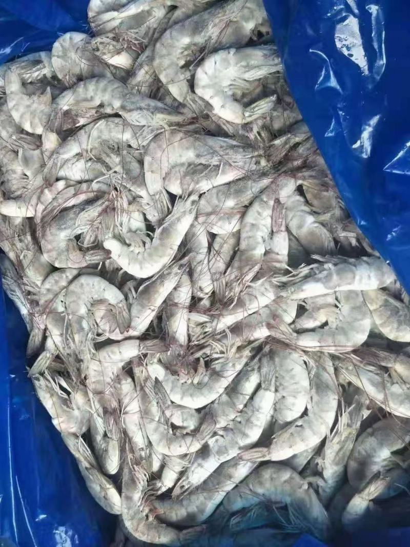 国产散包装各种型号大青虾