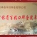 茄子种子优选种子早熟软肉黑紫色茄子四季口感好高产抗病包邮