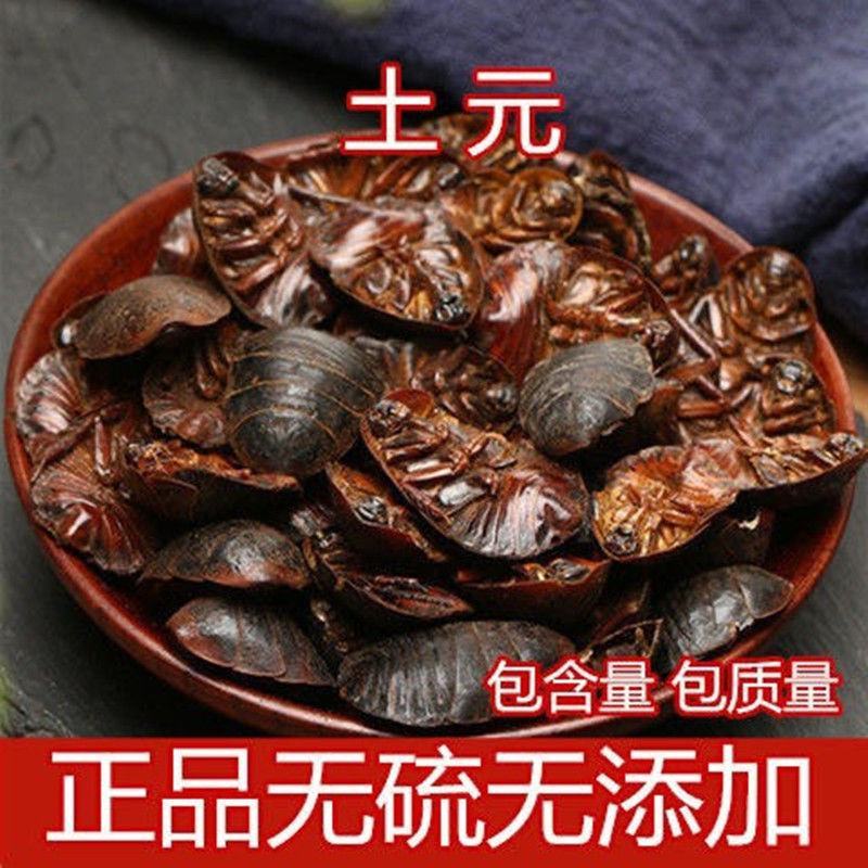 土元土鳖虫地鳖虫水洗无土土元虫土鳖虫各种昆虫类