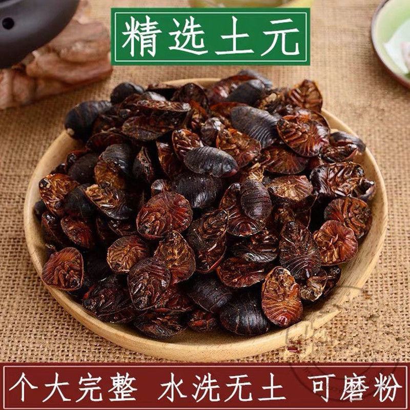 土元土鳖虫地鳖虫水洗无土土元虫土鳖虫各种昆虫类