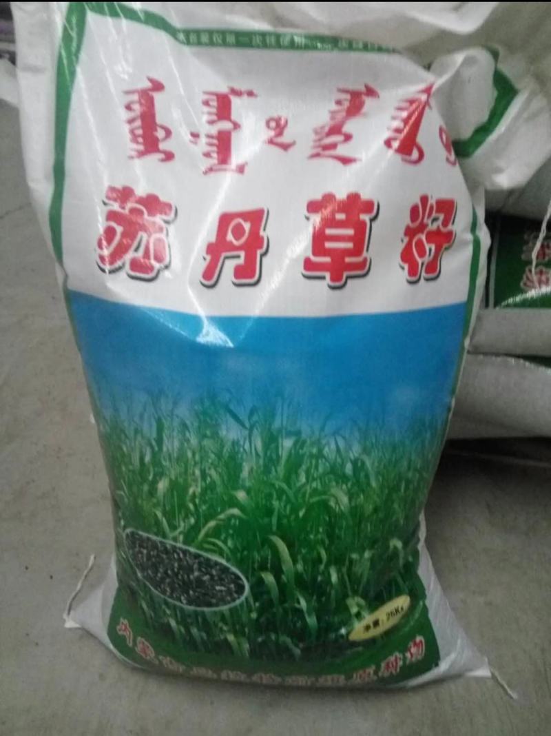 苏丹草种子养鱼，羊，牛等，营养丰富，适应性强