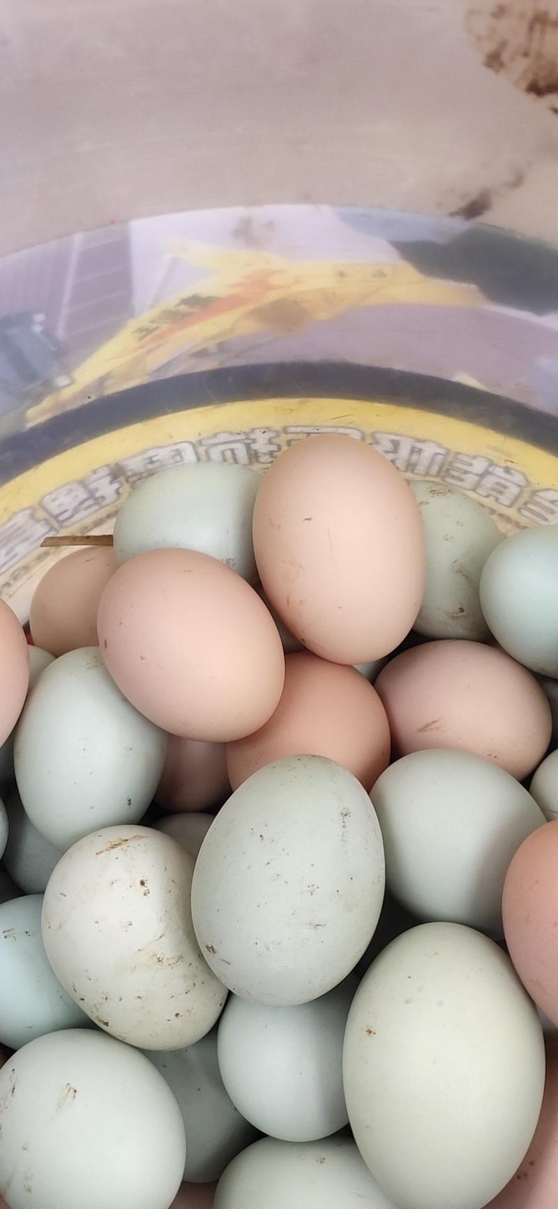 潼南区百亩山地放养土鸡蛋，纯粮土鸡蛋，富硒绿壳蛋，种蛋