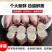 大个全籽籽乌，大海兔小鱿鱼带籽笔管鱼大叽咕