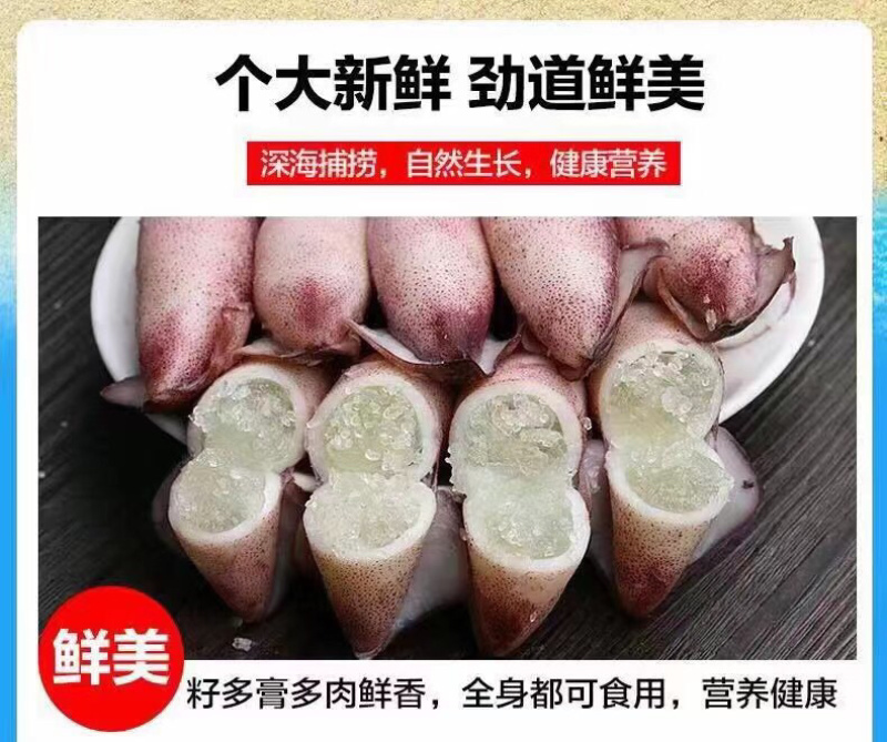 大个全籽籽乌，大海兔小鱿鱼带籽笔管鱼大叽咕