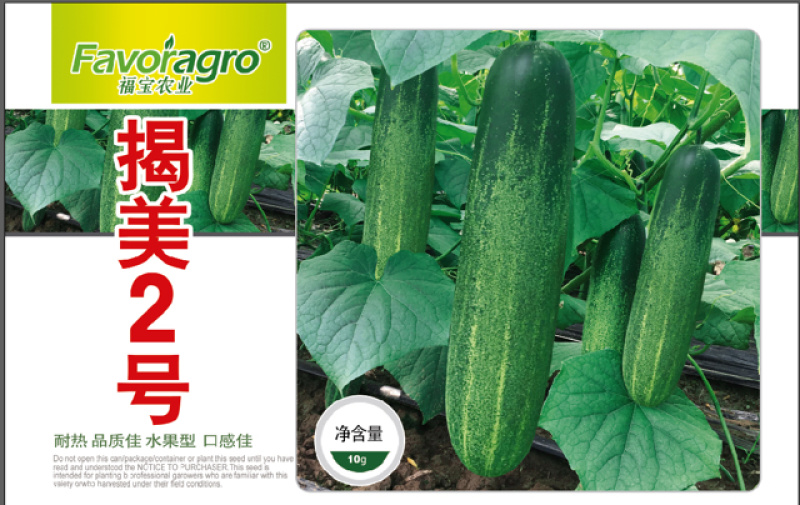 揭美2号，吊瓜，黄瓜，旱黄瓜种子青瓜种子芽率超国标