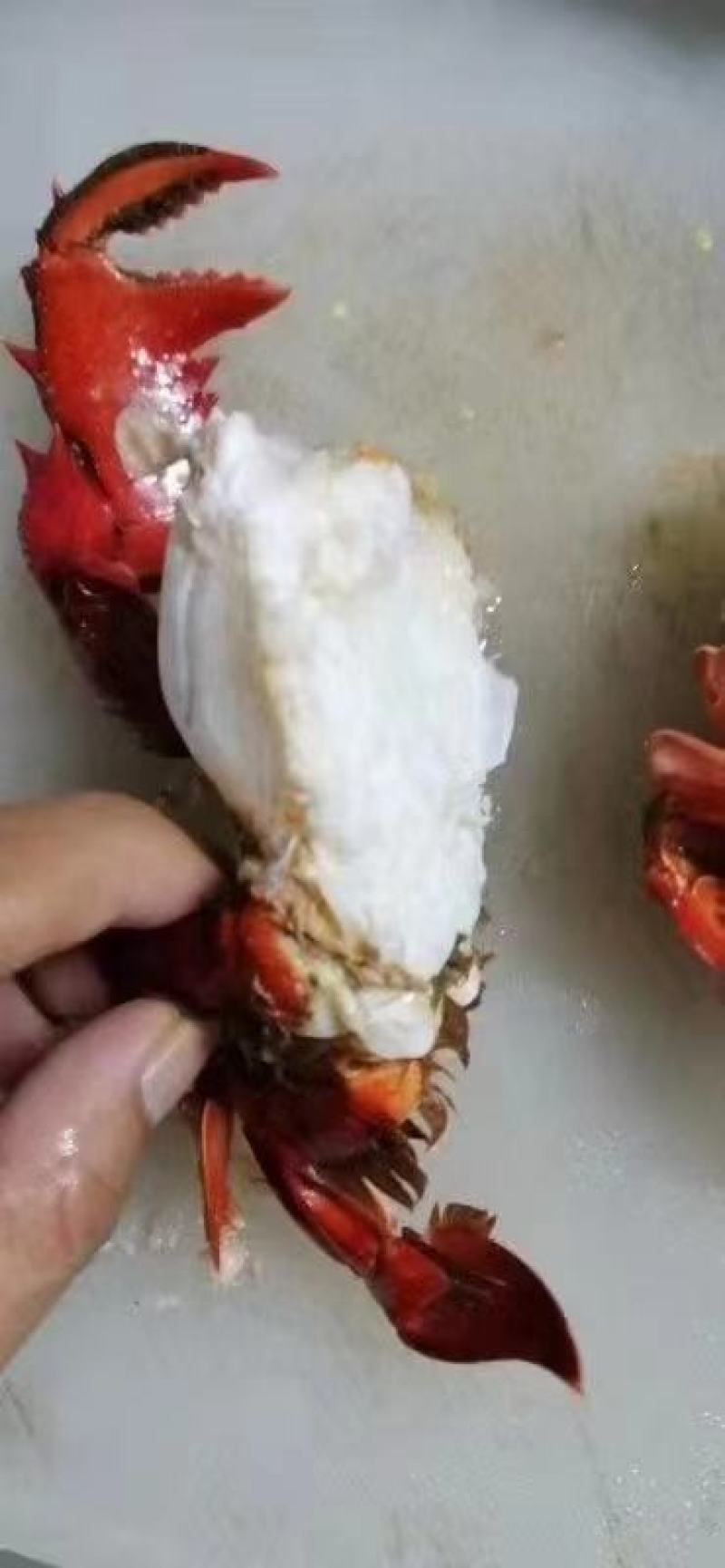 老虎蟹，生冻锁鲜。400/500克一只