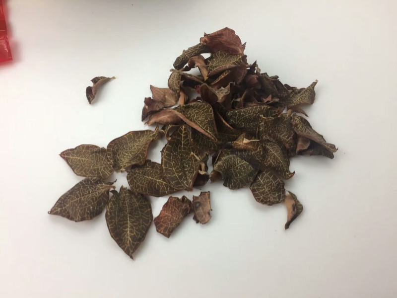 福建’金线莲礼盒装‘包邮‘纯叶子
