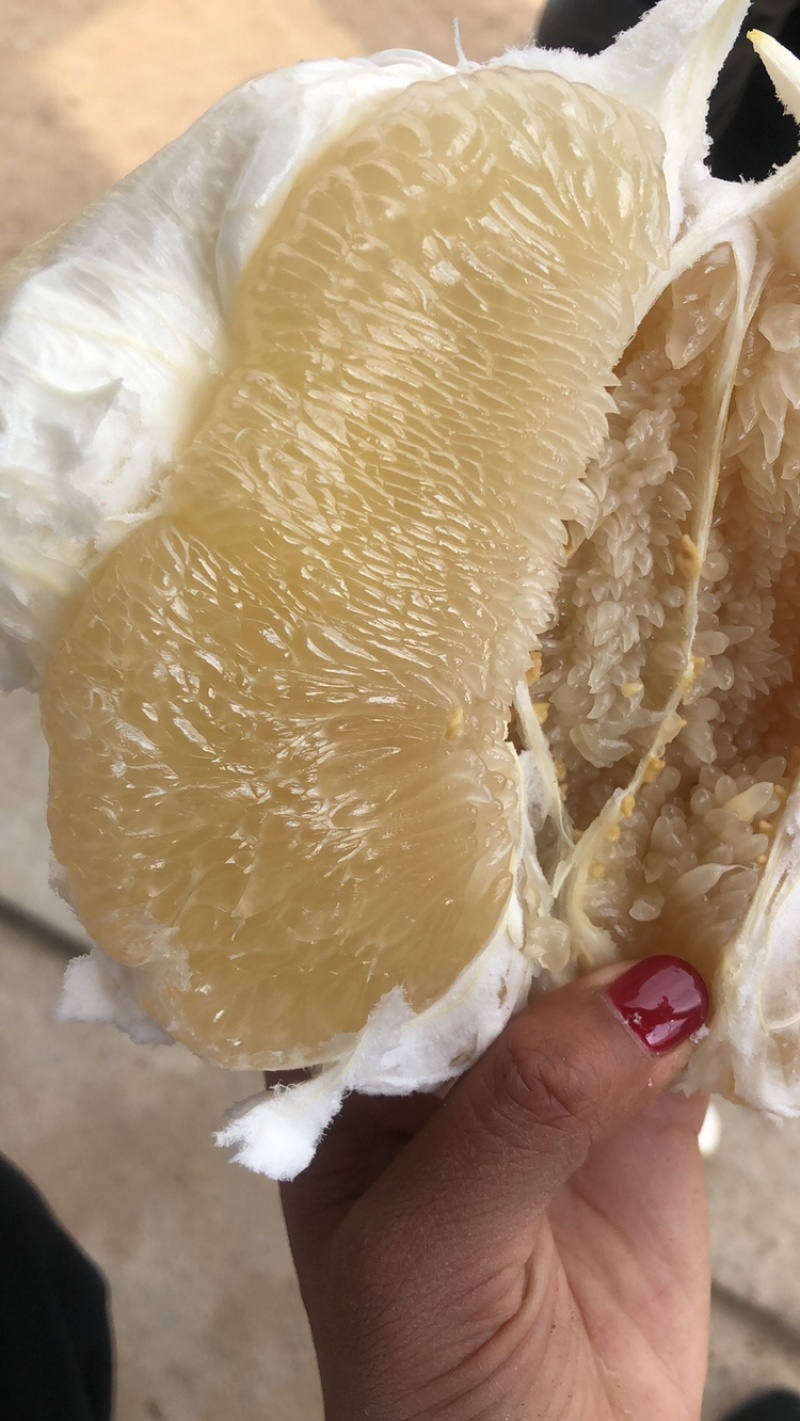 **红心蜜柚白柚货源稳定，支持各种规格各种包装定制