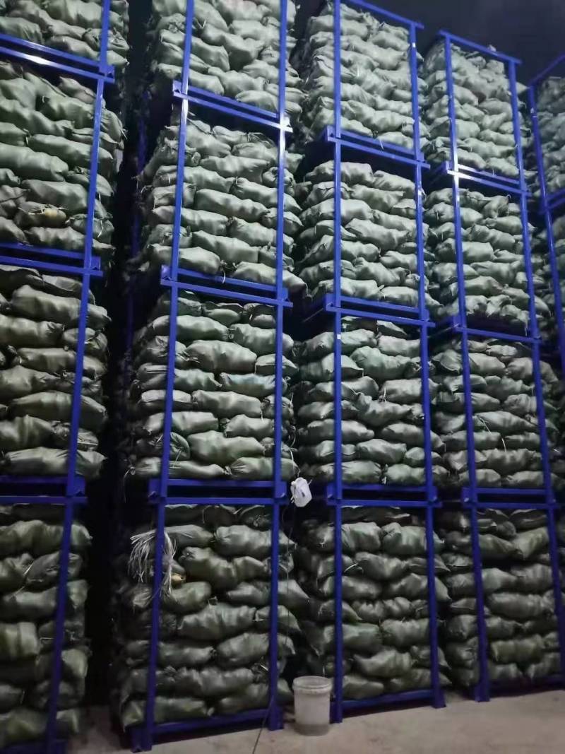 冷库萝卜，清脆爽口，精品品质，量大质优，欢迎联系