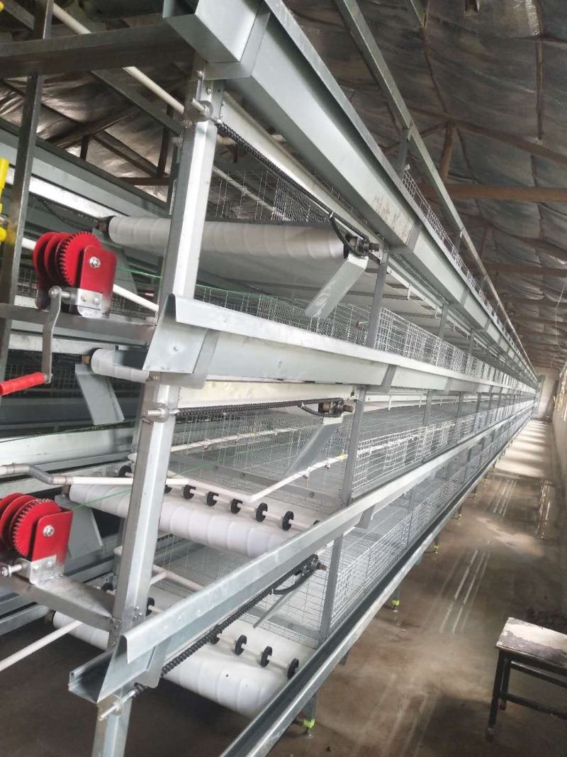 小层叠育雏自动化养殖设备