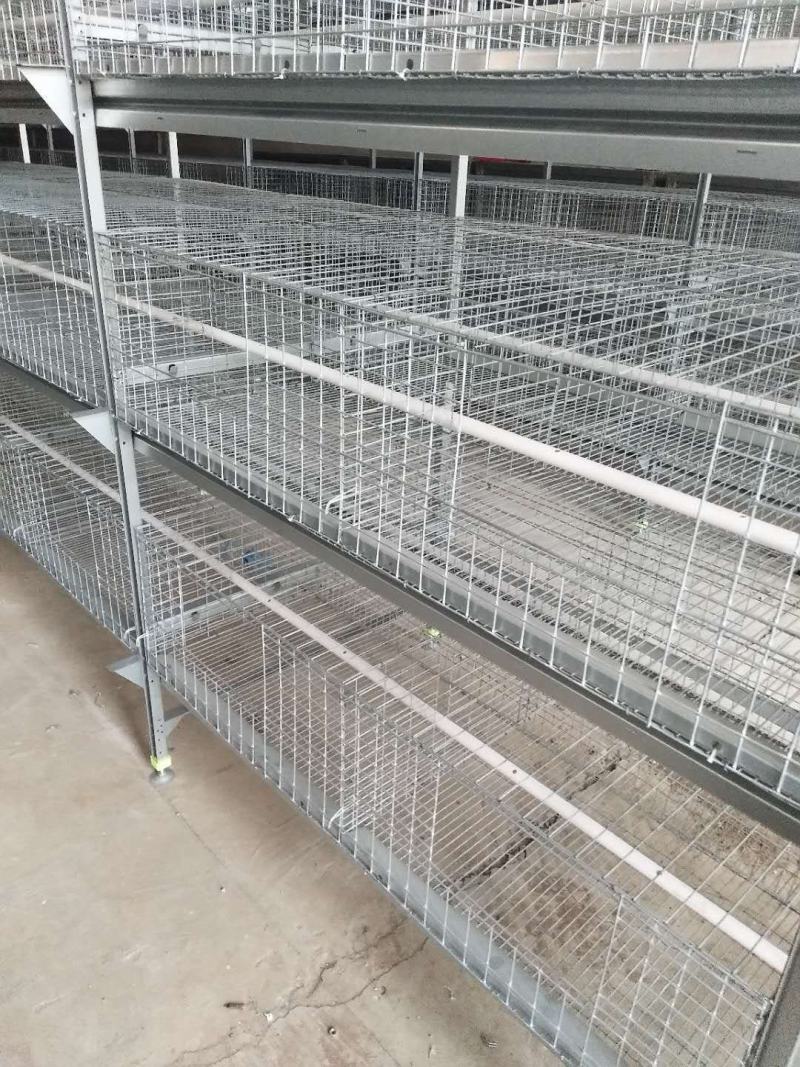小层叠育雏自动化养殖设备