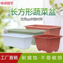 咏绿长方形塑料花盆-BC种菜盆长方形种菜盆