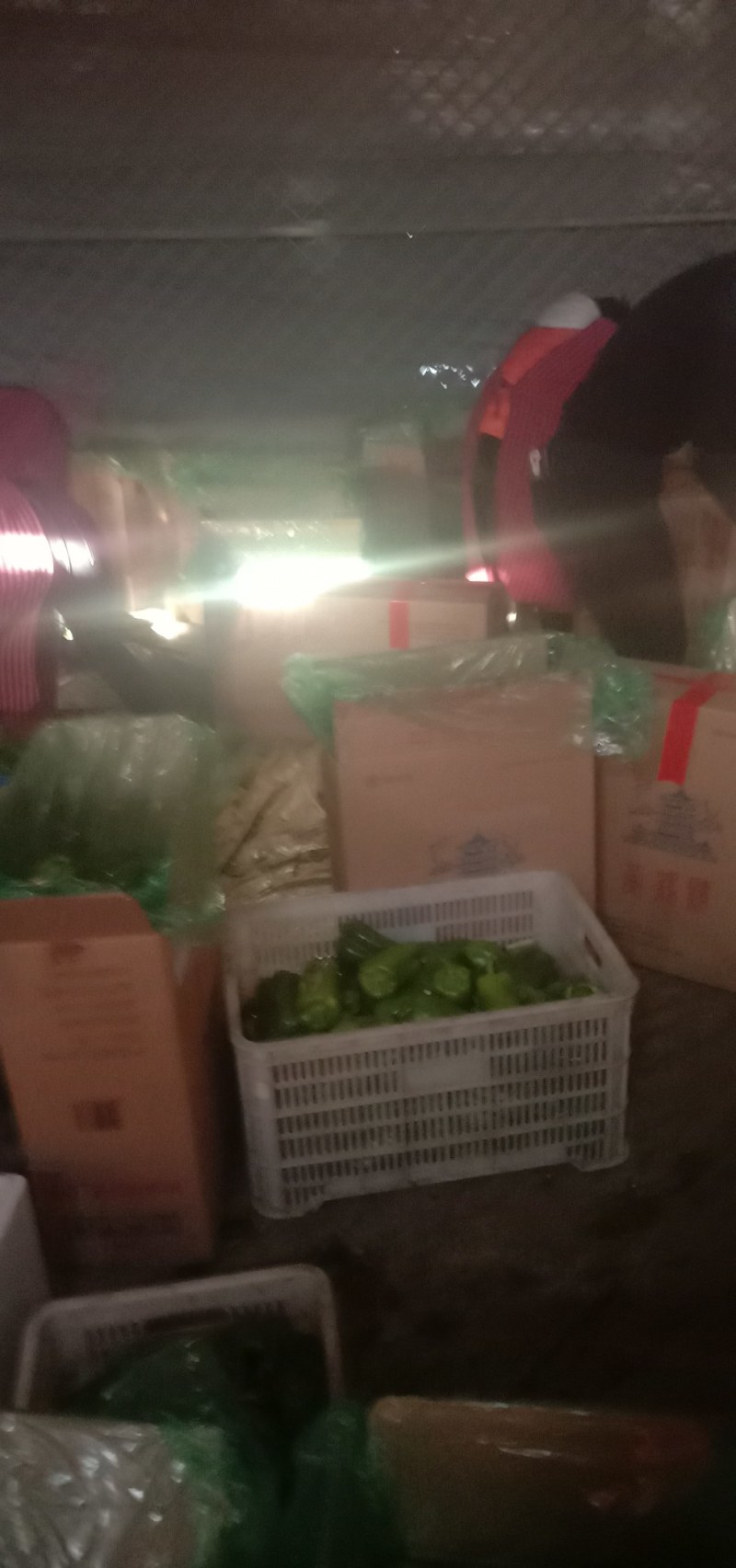 太空椒，青椒大量供应需要的联系我万亩基地一手货源欢迎咨询