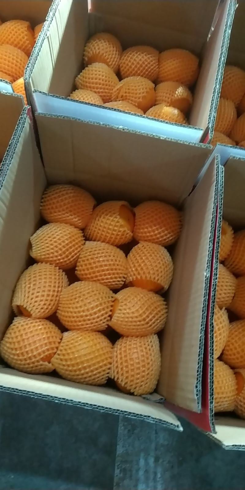 纽荷尔脐橙大量现货基地直供产地直销。视频看货选货。