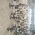 马岗鹅76日八斤3.4美丽
