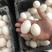 河北鸭蛋，精纹鸭蛋，哑巴蛋，破壳蛋，散黄蛋，