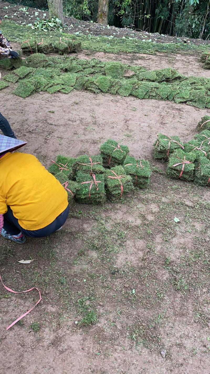 基地直销价格便宜货源保证质量保证