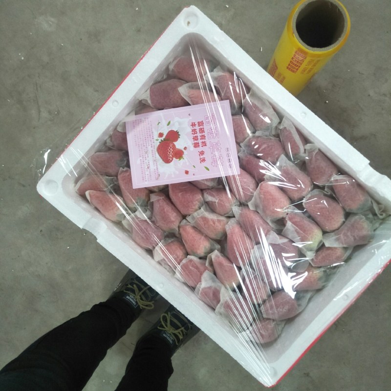 章姬甜宝套袋光果草莓