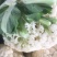 小米有机高品质花菜，需要的订货的提前联系