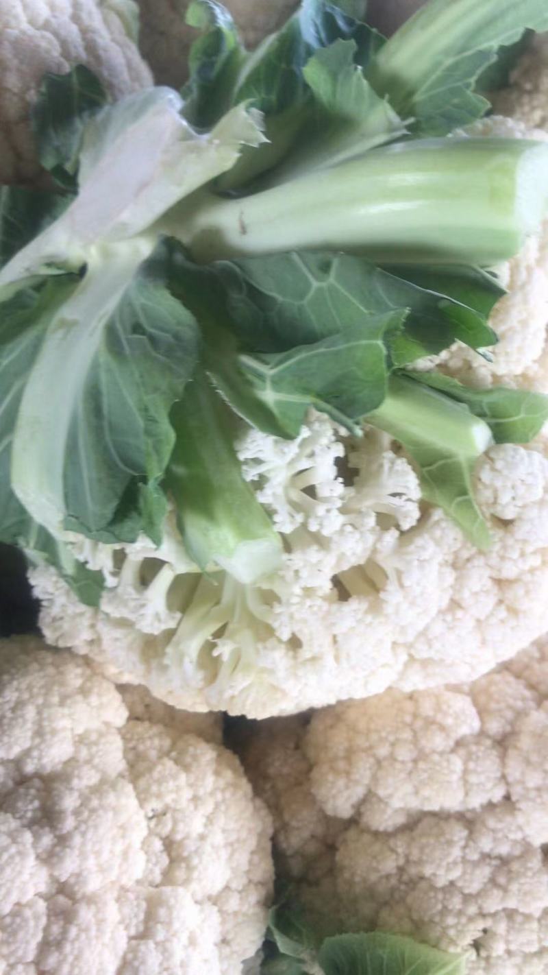 小米有机高品质花菜，需要的订货的提前联系