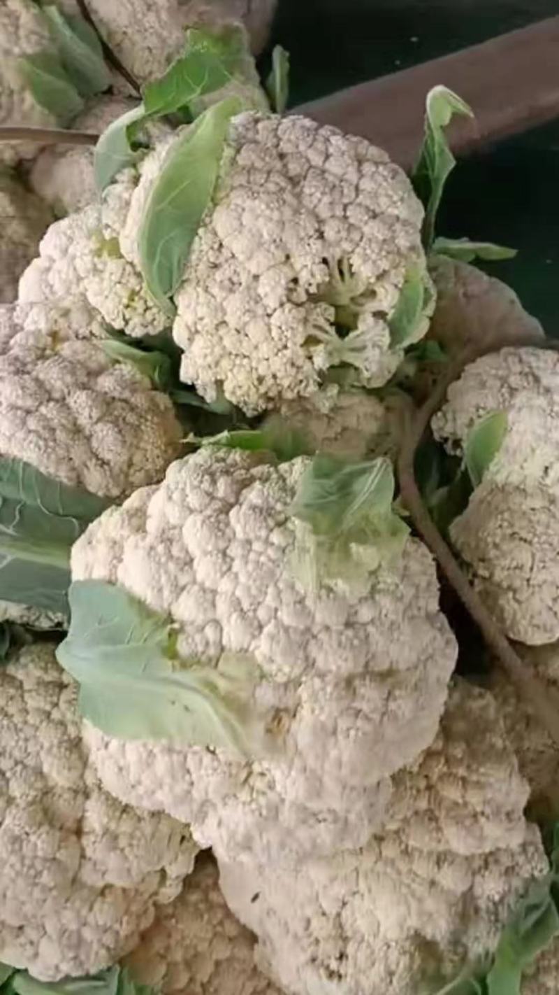 小米有机高品质花菜，需要的订货的提前联系