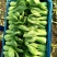 上海青小油菜杭白菜鸡毛菜