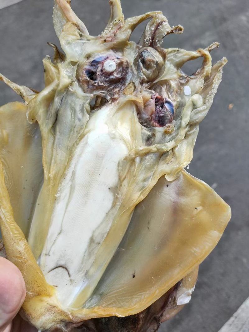 墨鱼干。淡干的一斤十个左右的淡盐