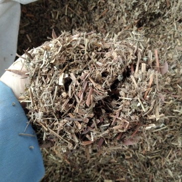 老鹳草产地直供支持线上交易可搭配多品种采购大货联系