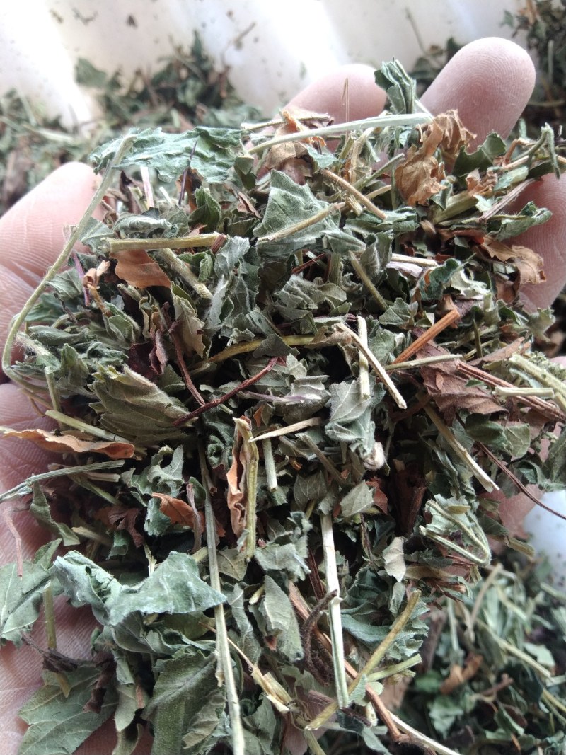仙鹤草别名龙芽草、脱力草、狼牙草、金顶龙牙、黄龙尾