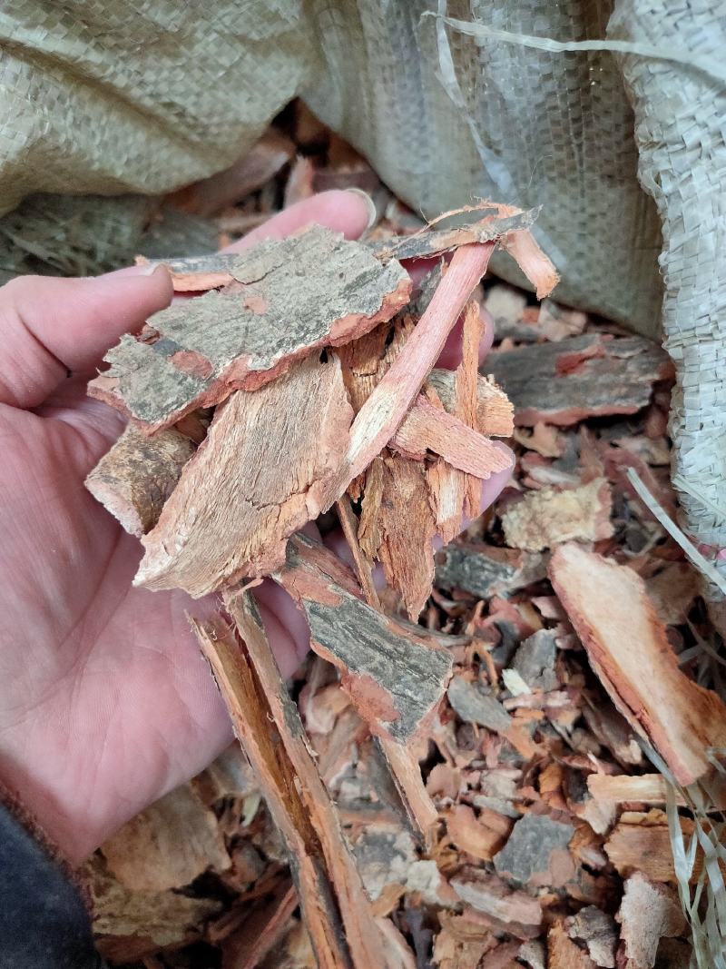 干货雷公藤皮，萝卜药，常年供应，欢迎选购